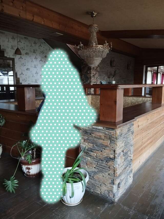 Гостиница Шансон Томск-69