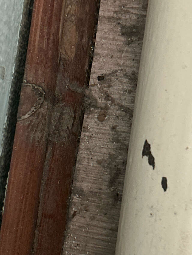 Гостиница Шансон Томск-182