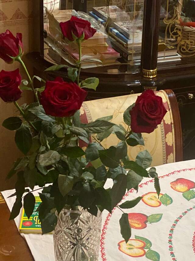 Гостиница Шансон Томск-82