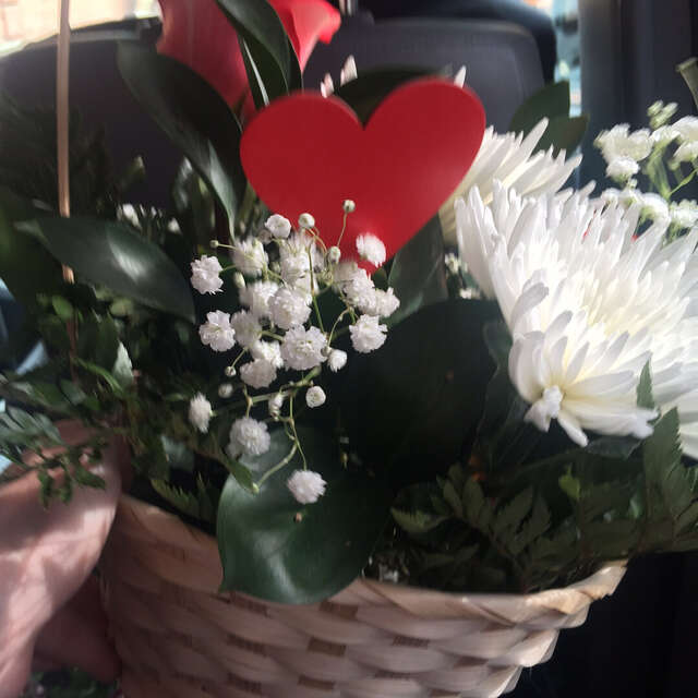 Гостиница Шансон Томск-41