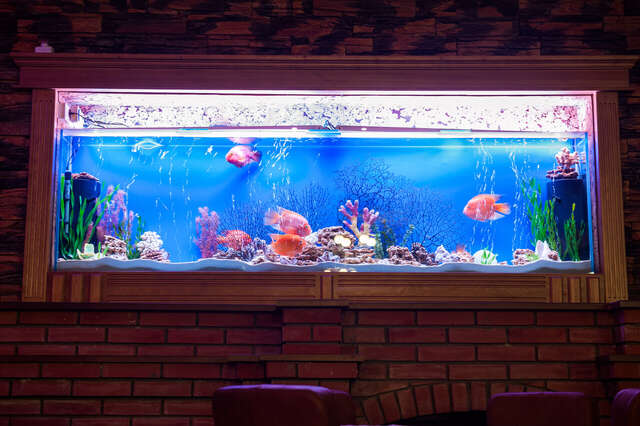 Гостиница Шансон Томск-35