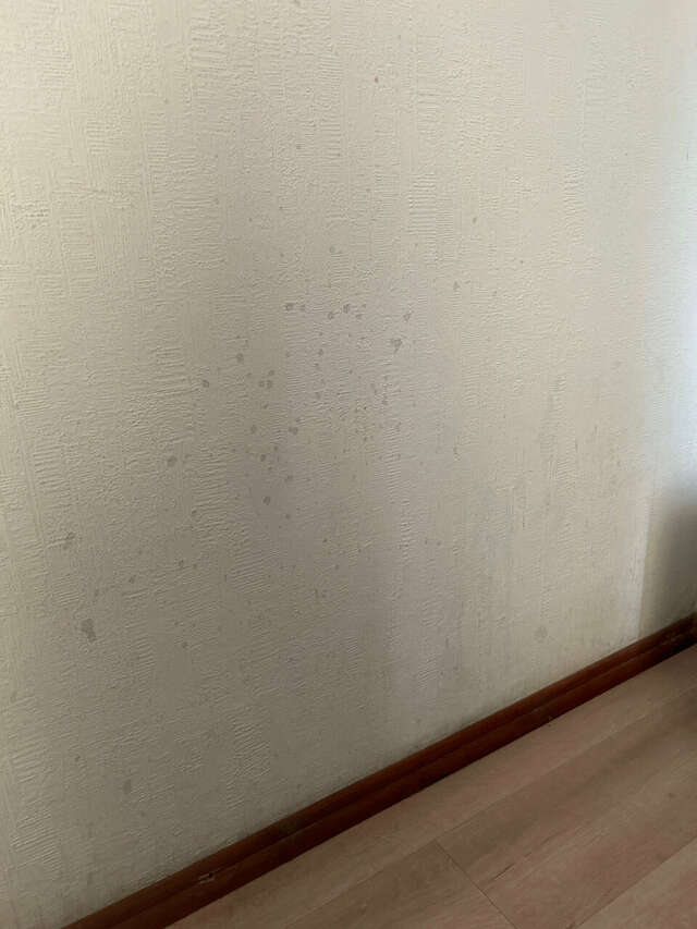 Гостиница Шансон Томск-207